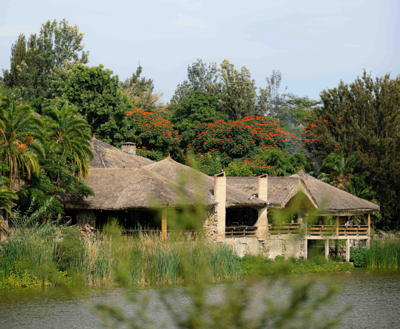 Rooted Futures: Building Tomorrow With African Intelligence